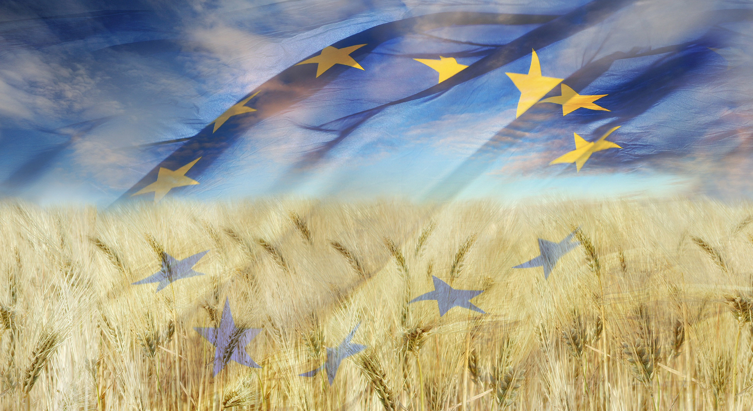 Cosa Rappresentano Le Stelle Della Bandiera Europea