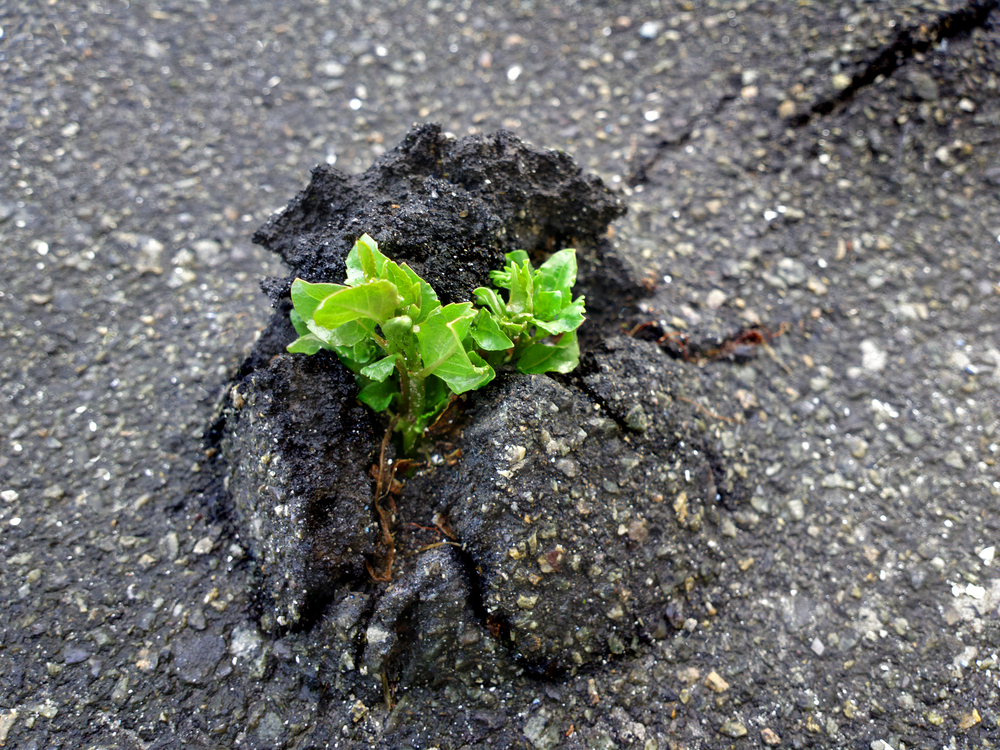 A Fabriano Creativa si parla di resilienza