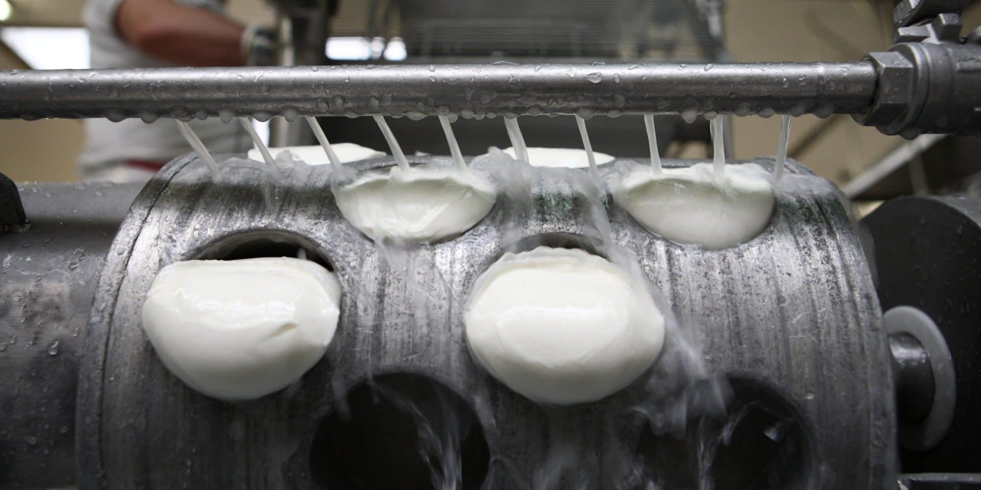 Sabelli_mozzarella