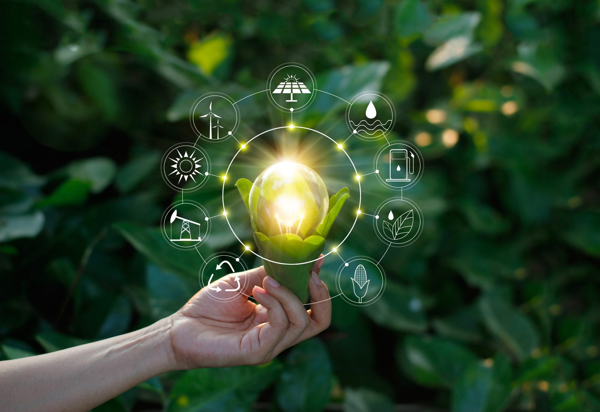 Simbiosi Industriale Arriva Il Programma Europeo Per Formare Esperti 